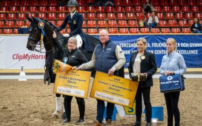 Diploid (SWB) vinnare av SWBs Championat för 7-åriga hästar