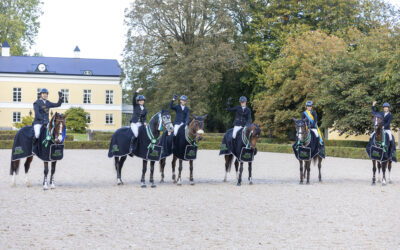 Finalplatser till Gothenburg Horse Show på spel för de 6-åriga hästarna