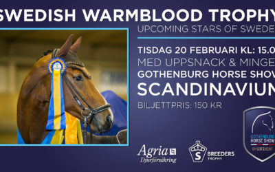 Swedish Warmblood Trophy med Agria Uppsnack