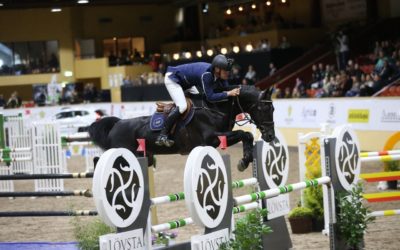 Lövsta fortsätter satsa på Breeders Trophy och SWB-hästar.