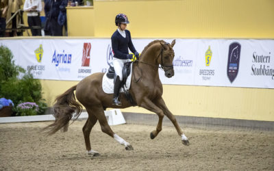 Nu släpps biljetterna till SWB Equestrian Weeks