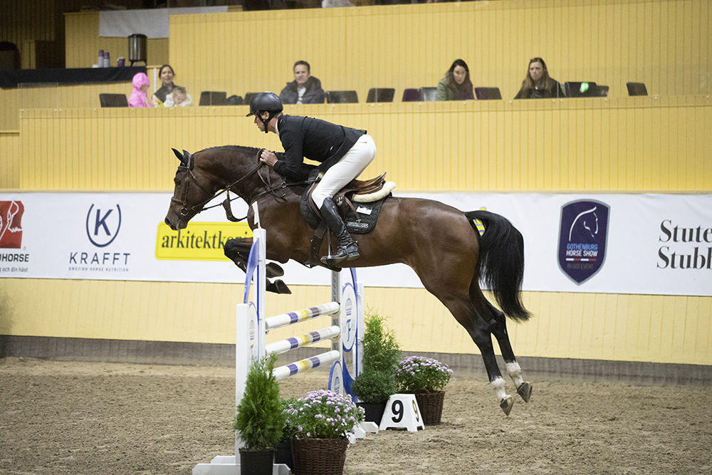 Domare för en dag under SWB Equestrian Weeks!