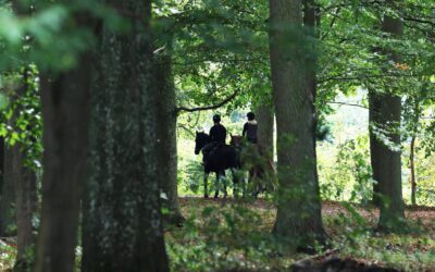 Nu sätts skrittklockan upp!