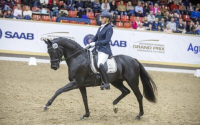 SWB tar bort kvalen till Breeders Trophy