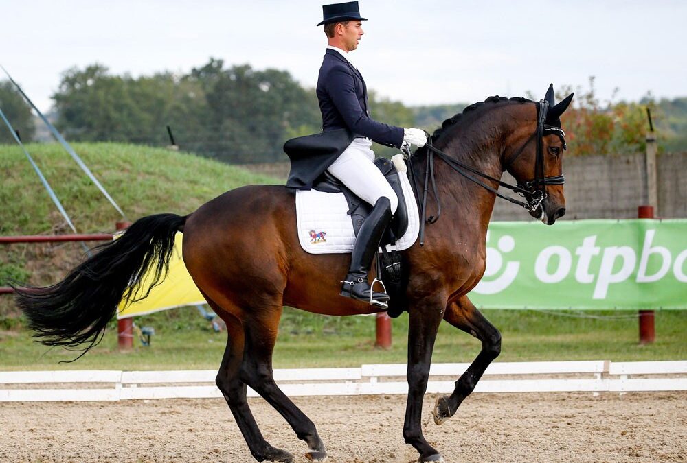 Ryttare i världsklass testar Sveriges främsta unghästar under SWB Equestrian Weeks