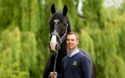Benjamin Werndl återkommer i dubbel bemärkelse till SWB Equestrian Weeks 
