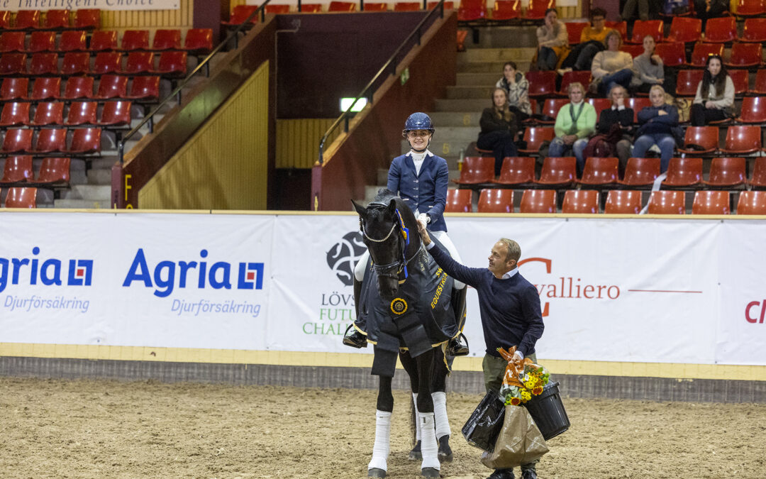 Morricello II VH (SWB) 1501 vann SWB Stallion Trophy presented by Jacson för 4-åringar