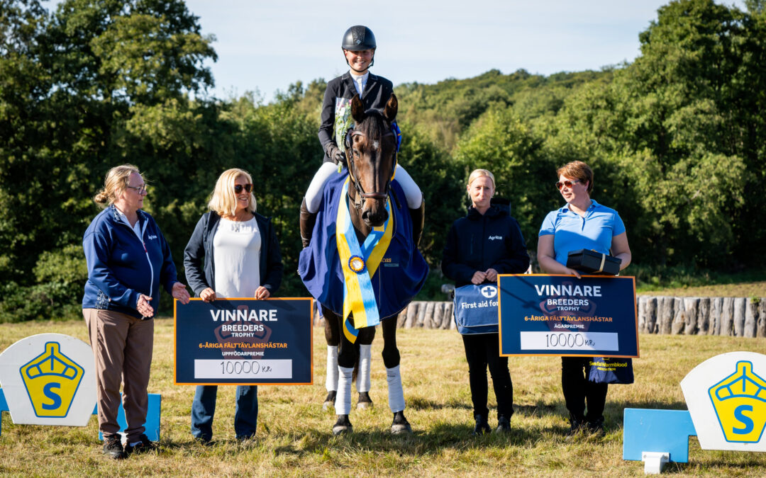 Catchying Magiq (SWB) vinnare av Breeders Trophy för 6-åriga fälttävlanshästar