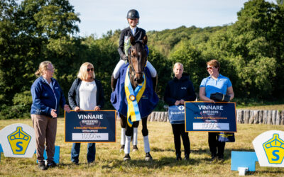 Catchying Magiq (SWB) vinnare av Breeders Trophy för 6-åriga fälttävlanshästar