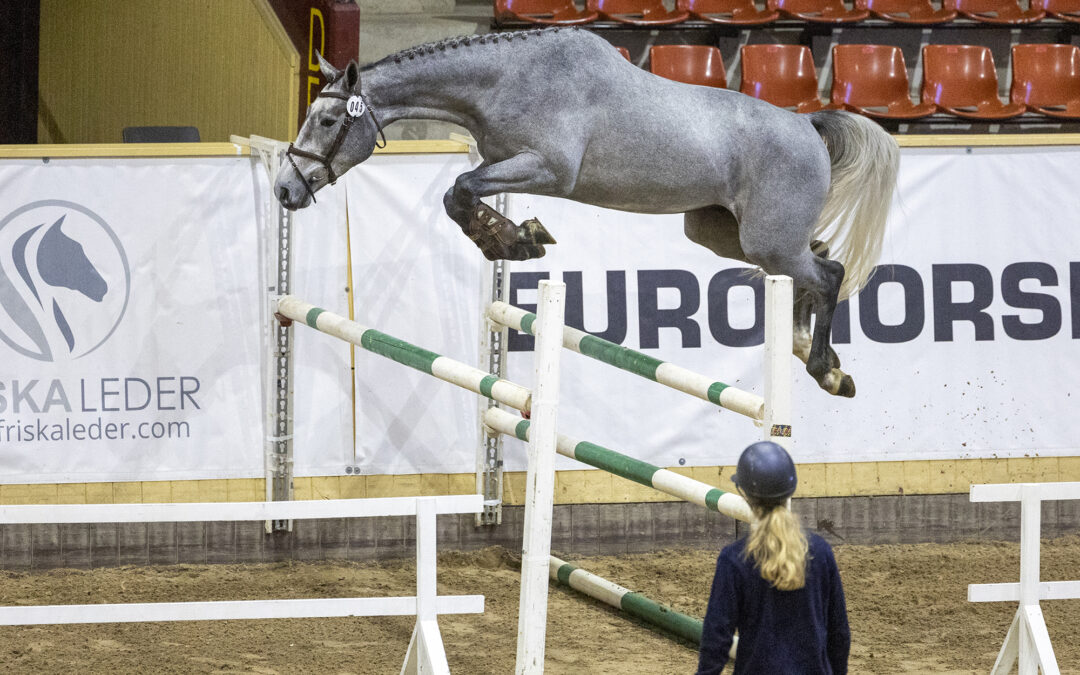 Flyttad tävlingsdag för 3-åriga hopphästar under SWB Equestrian Weeks