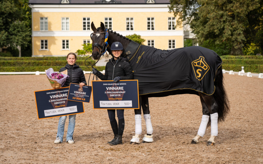 Fonzie (SWB) vinnare av SWB Championat 3-åriga hästar