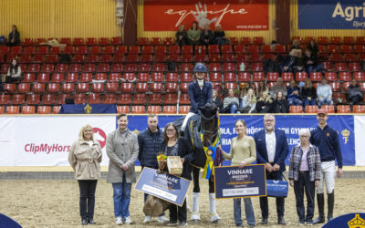 Quick Dream (SWB) vinnare av Breeders Trophy för 4-åriga hästar presented by AJ Produkter