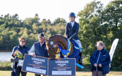 Piccadillys Core HG (SWB) vinnare av Breeders Trophy för 5-åriga fälttävlanshästar