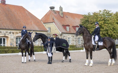 Fontanell (SWB) vann Lövsta Future Challenge – FEI Grand Prix för unga hästar