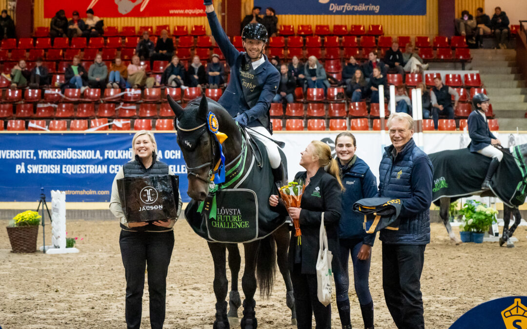 Zino 1461 vinner SWB Stallion Trophy för 6-åriga hästar presenterad av Jacson