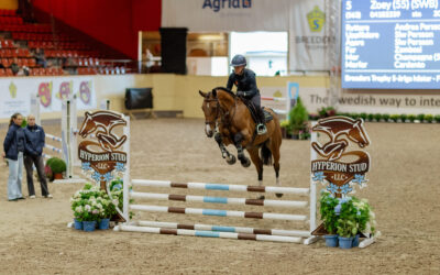 Hjälp oss utvärdera SWB Equestrian Weeks – fyll i enkäten!