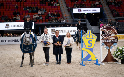 Blue Sky (SWB) 9779 winner of SWB Trophy Showjumping