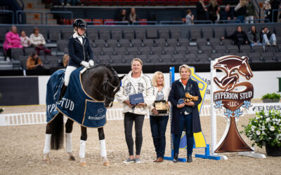 Soretto (SWB) winner of SWB Trophy Dressage for 6 y/o horses