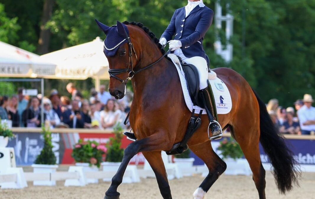 Jessica Lynn Thomas testrider de 4-åriga dressyrhästarna under SWB Equestrian Weeks