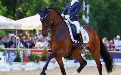 Jessica Lynn Thomas testrider de 4-åriga dressyrhästarna under SWB Equestrian Weeks