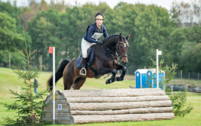 Proppen till Breeders Trophy är ute – SWB bjuder på del av deltagarbeviset till SvRFs unghästchampionat