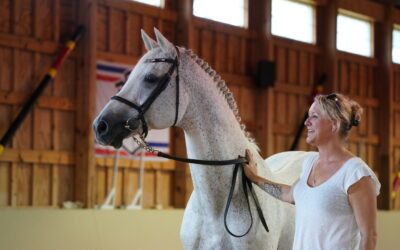 Hyperion Stud continues as a proud partner of SWB Equestrian Weeks
