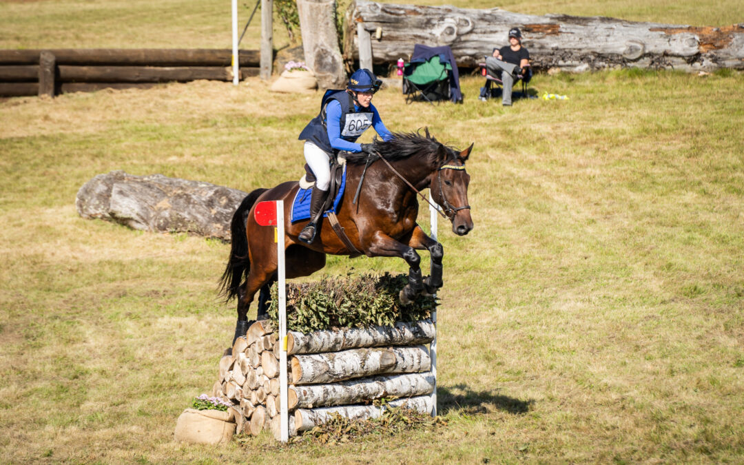 Champion of the Champions – new feature for eventing horses at SWB Equestrian Weeks