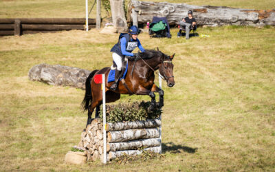 Champion of the Champions – new feature for eventing horses at SWB Equestrian Weeks