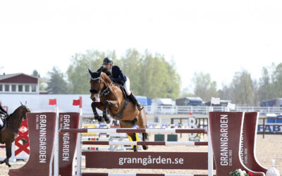 Granngården lyfter fram framtidens hopphästar på SWB Equestrian Weeks