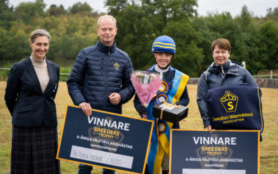Calidus (SWB) vinner Breeders Trophy för 6-åriga fälttävlanshästar