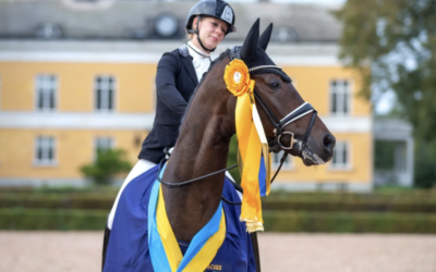 SWB Equestrian Weeks drar igång – detta får du inte missa!