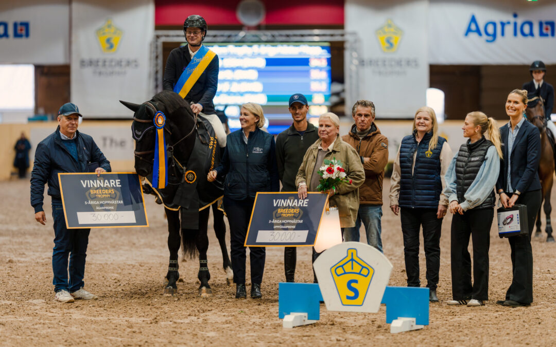 Charif Ek 1504 (SWB) med Joel Andersson vinner Breeders Trophy 5-åriga hopphästar by Hyperion Stud i samarbete med BHOOF