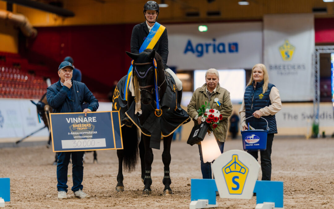 Charif Ek 1504 (SWB) vinner SWB Stallion Trophy för 5-åriga hopphästar by RS Mustang