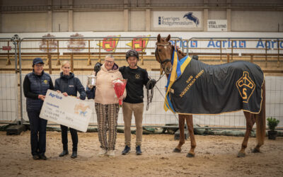 Adrenaline (SWB) vinnare av SWB 3-årschampionat – Rikssto by Agria och Kungakannan
