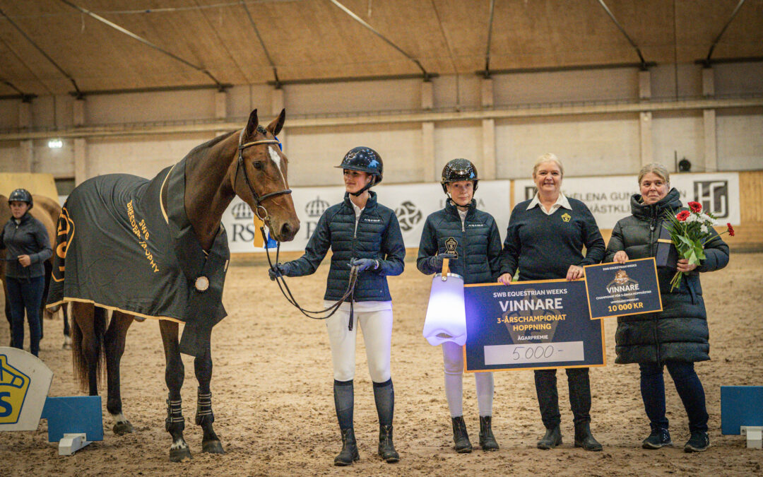 Macallan TT (SWB) vinner SWB 3-årschampionat by Hyperion Stud och Ackordhäststiftelsen