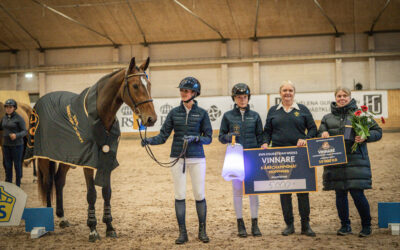 Macallan TT (SWB) vinner SWB 3-årschampionat by Hyperion Stud och Ackordhäststiftelsen