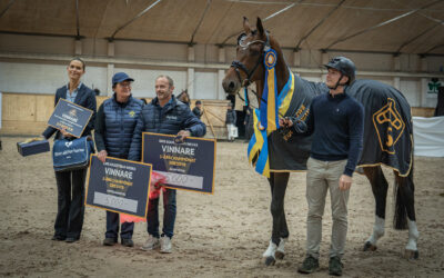 Balvenie VH (SWB) 9850 vinner SWB 3-årschampionat by Hyperion Stud och Ackordhäststiftelsen