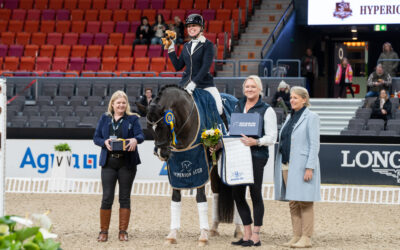 Soretto (SWB) winner of SWB Trophy dressage for 7 y/o horses