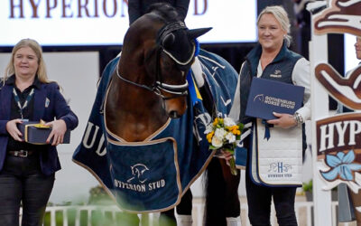 Santorio 1473 (SWB) winner of SWB Trophy Dressage for 6 y/o horses